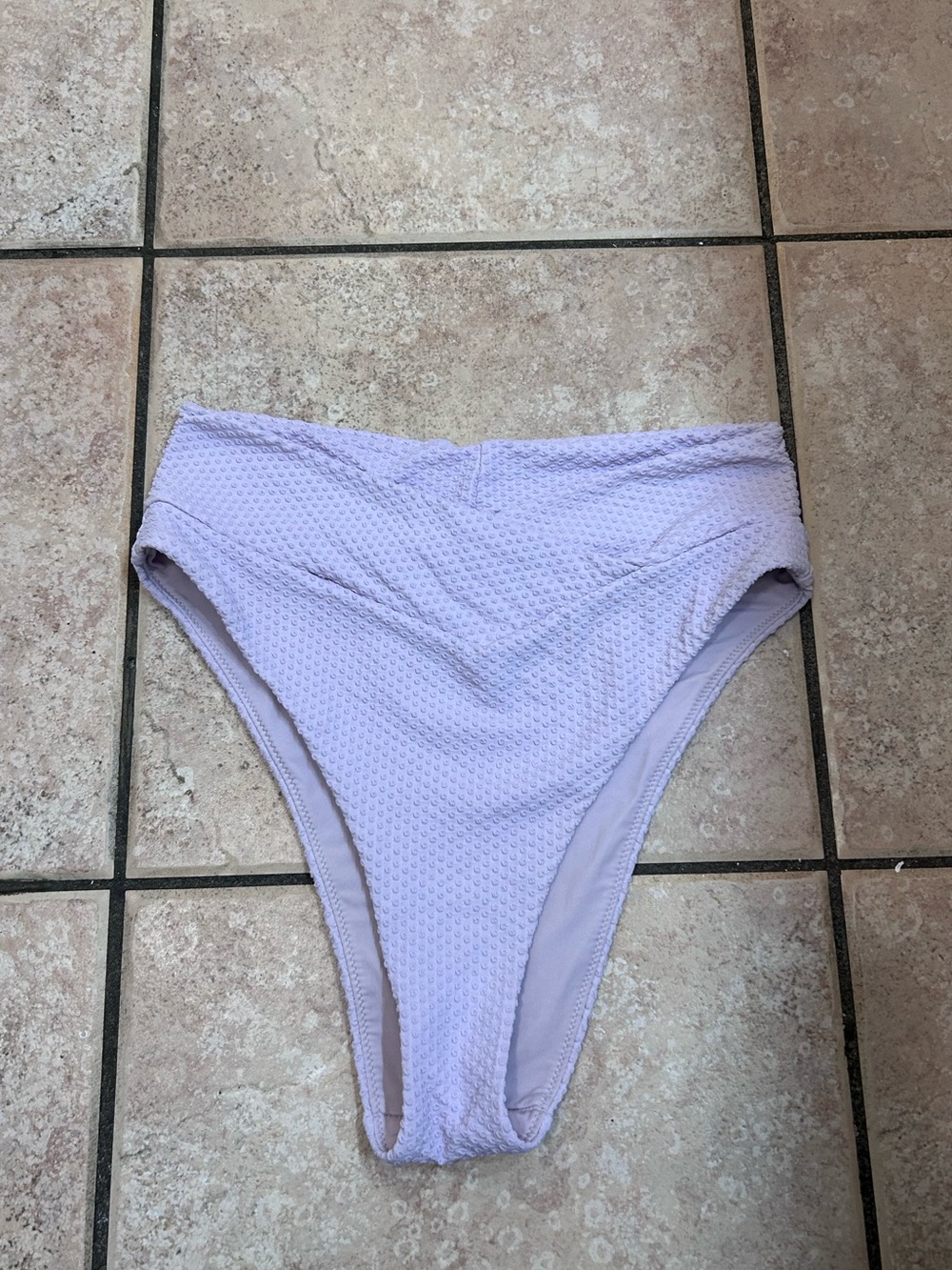 aerie High Cut Cheeky Purple Bikini Bottoms
